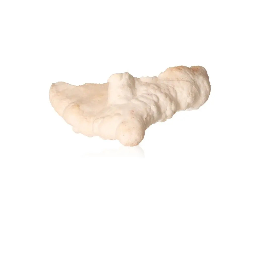 Cave Calcite Stalactite Cluster with intricate natural texture and white appearance, showcasing the beauty of mineral formations.