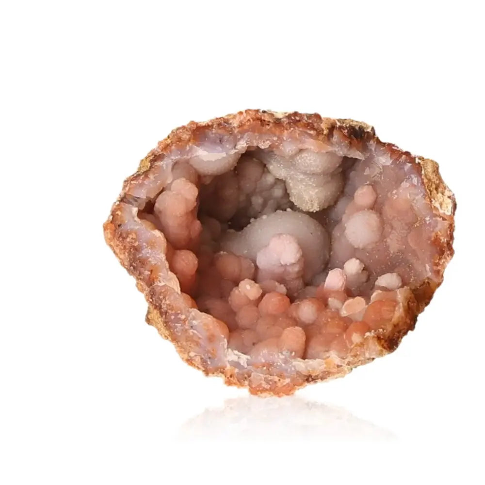 orbitvu|type:ORBITVU 360|https://orbitvu.co/share/ssrS8ivAT5zFGPzP9rsnmj/6392552/360/iframe