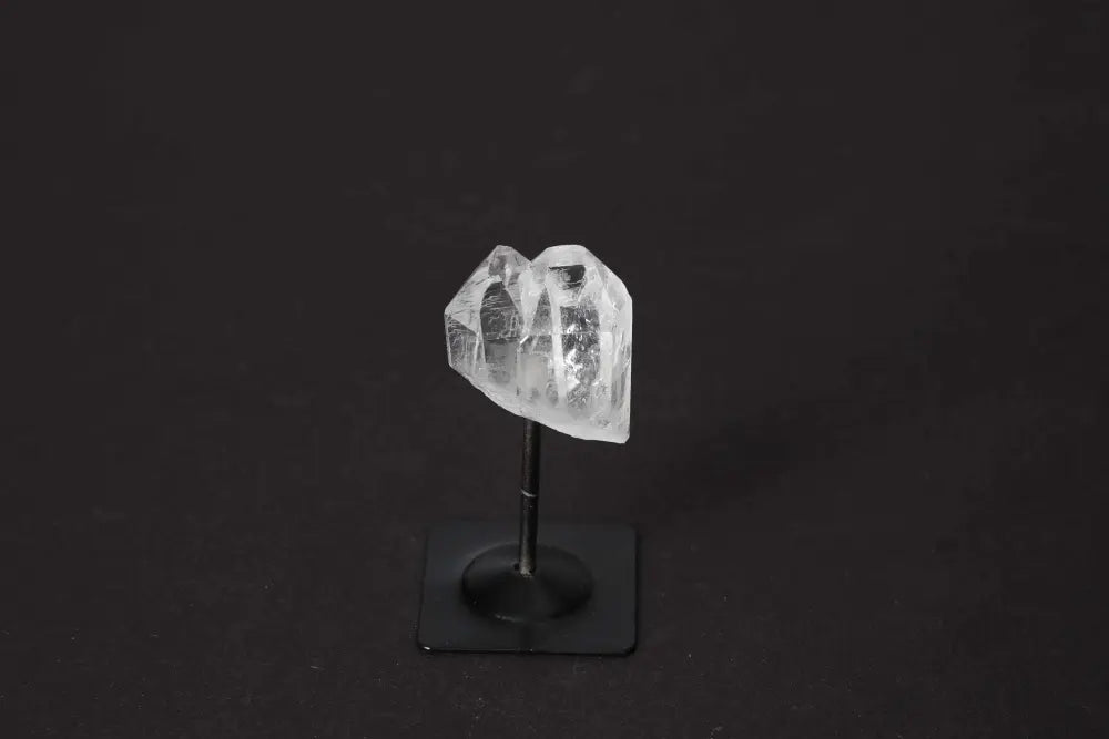 orbitvu|type:image2d