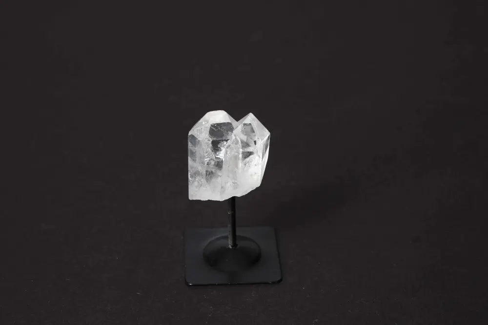 orbitvu|type:image2d