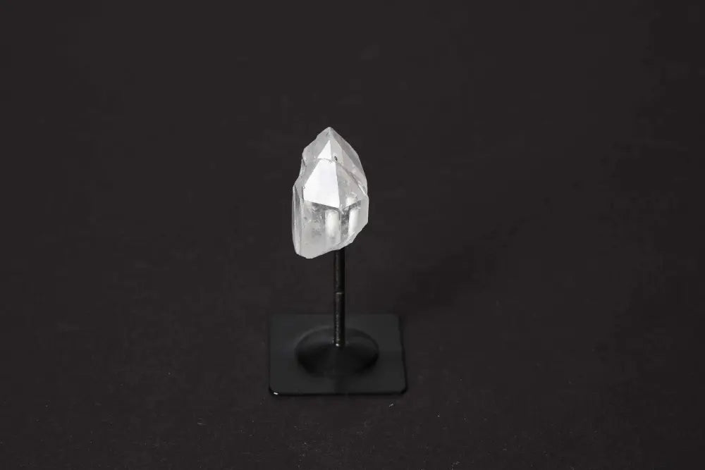 orbitvu|type:image2d