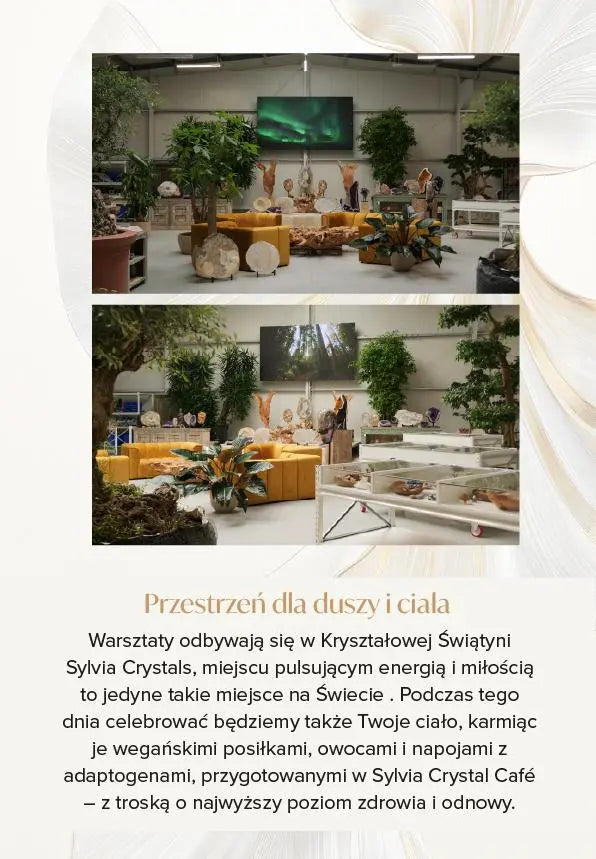 Interior view of Sylvia Crystals Showroom with natural decor for Crystal Consciousness Workshop.