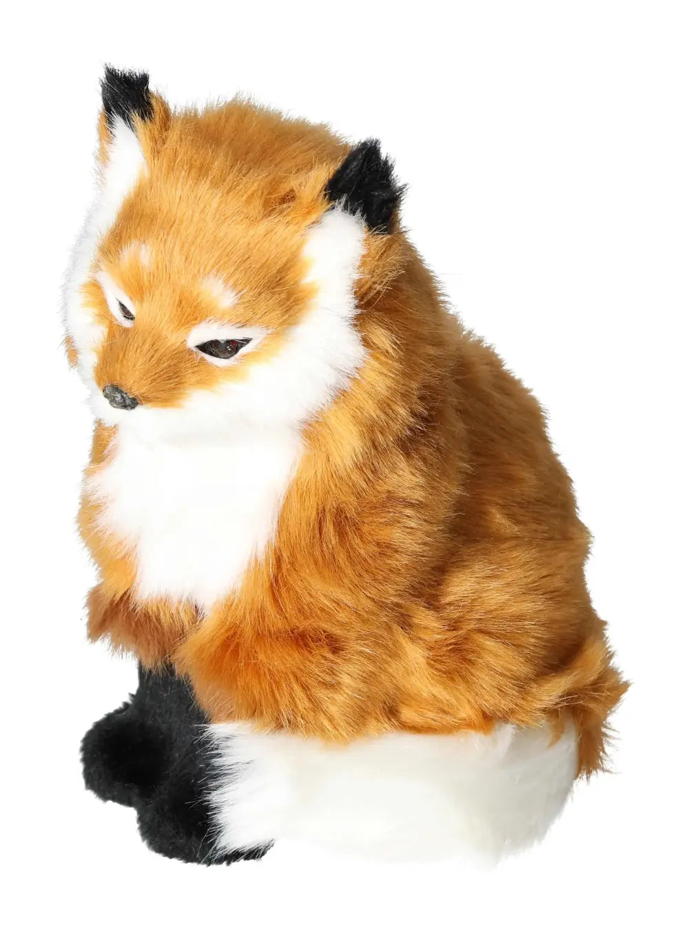 orbitvu|type:image2d