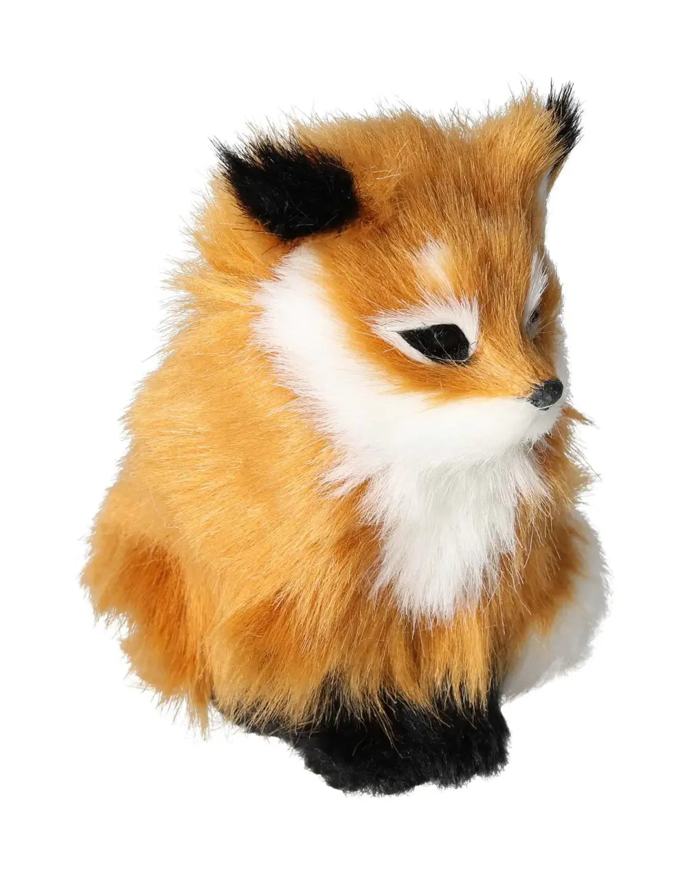 orbitvu|type:image2d