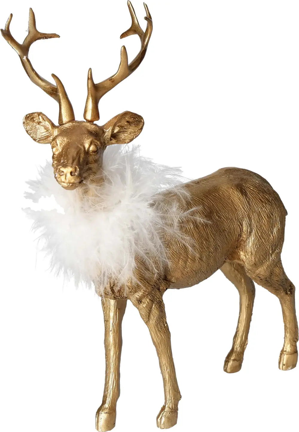 orbitvu|type:image2d