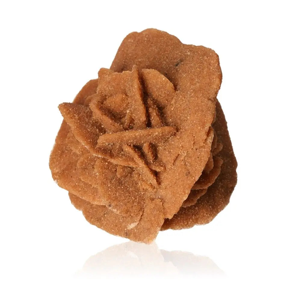 Close-up of a Desert Rose gypsum formation by Sylvia Crystals, showcasing its unique sculptural beauty and Moroccan origin.