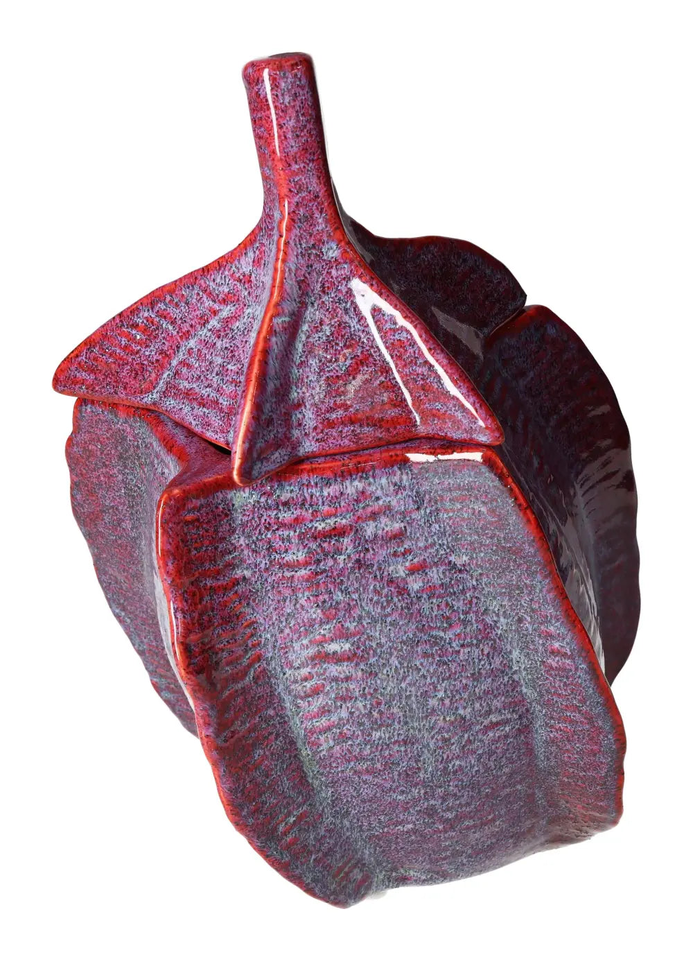 orbitvu|type:image2d