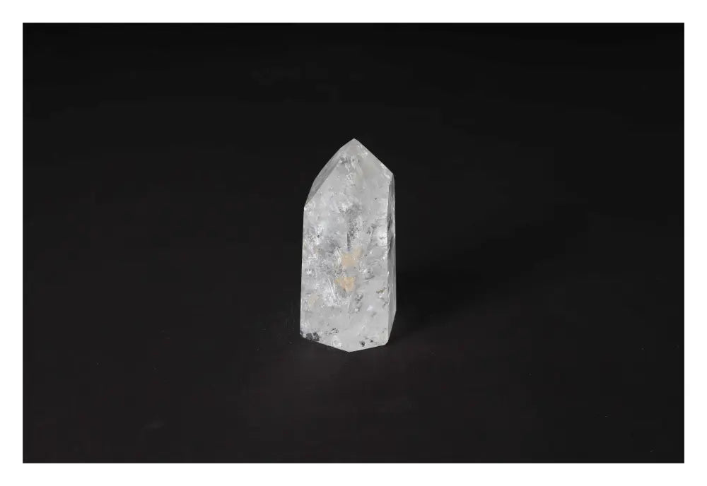 orbitvu|type:image2d