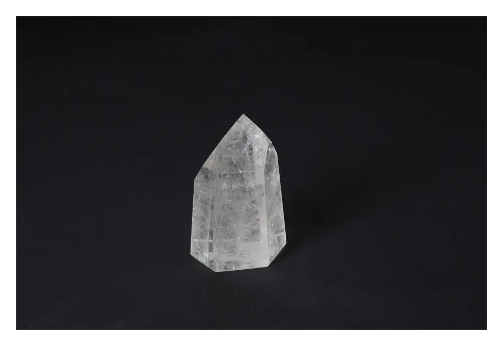 orbitvu|type:image2d