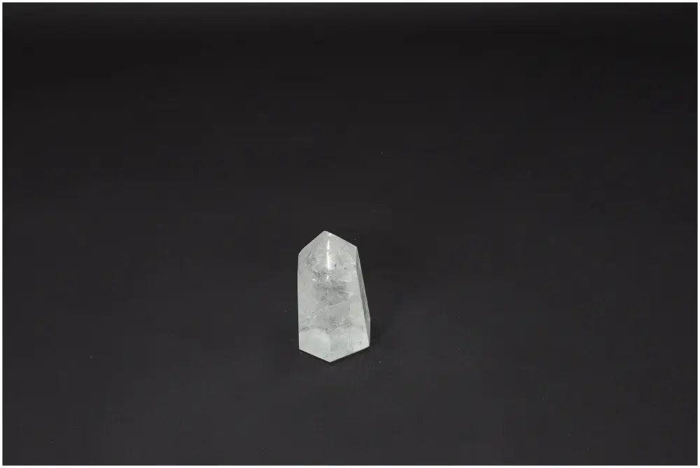 orbitvu|type:image2d