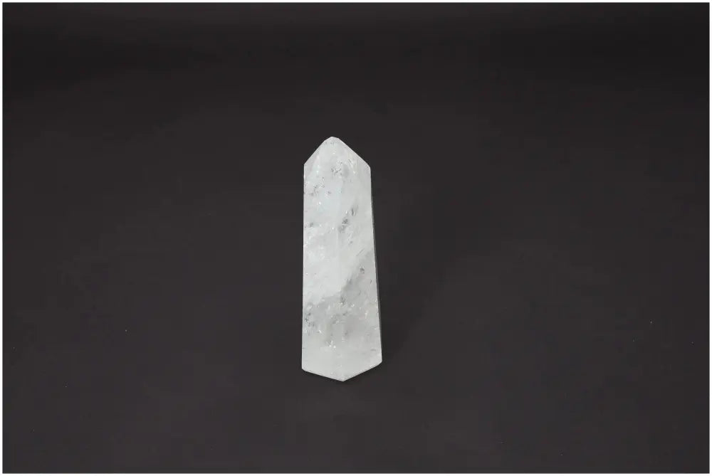 orbitvu|type:image2d