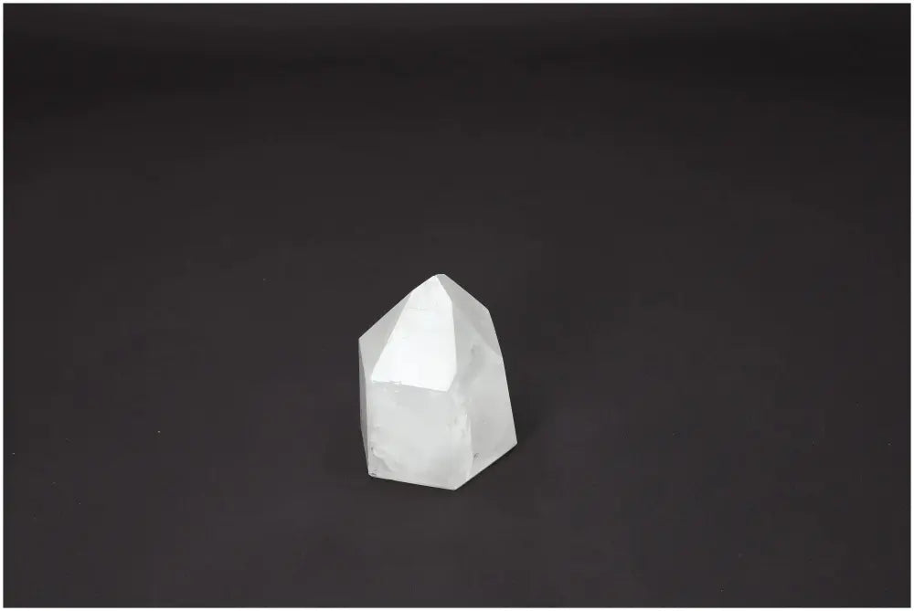 orbitvu|type:image2d
