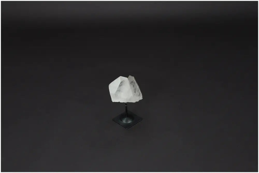 orbitvu|type:image2d