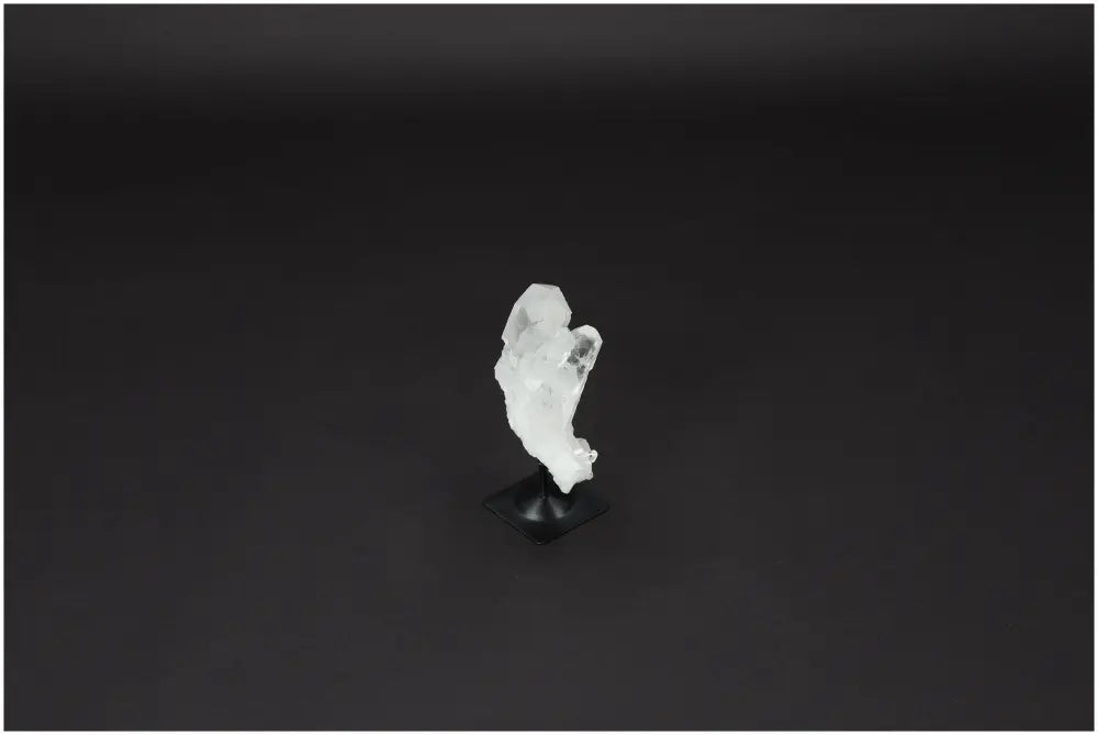 orbitvu|type:image2d
