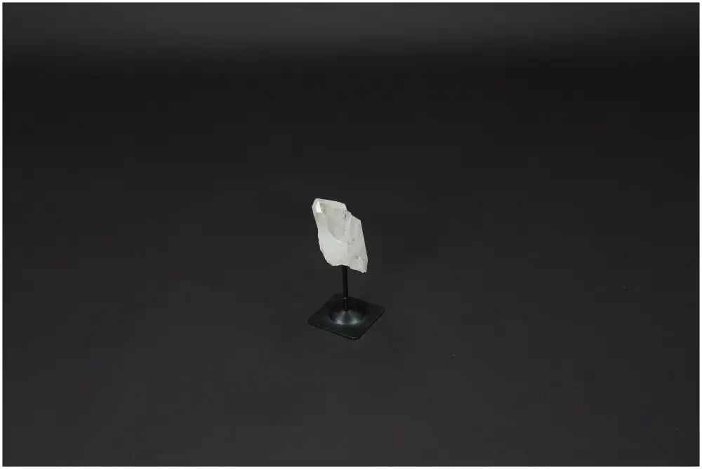 orbitvu|type:image2d
