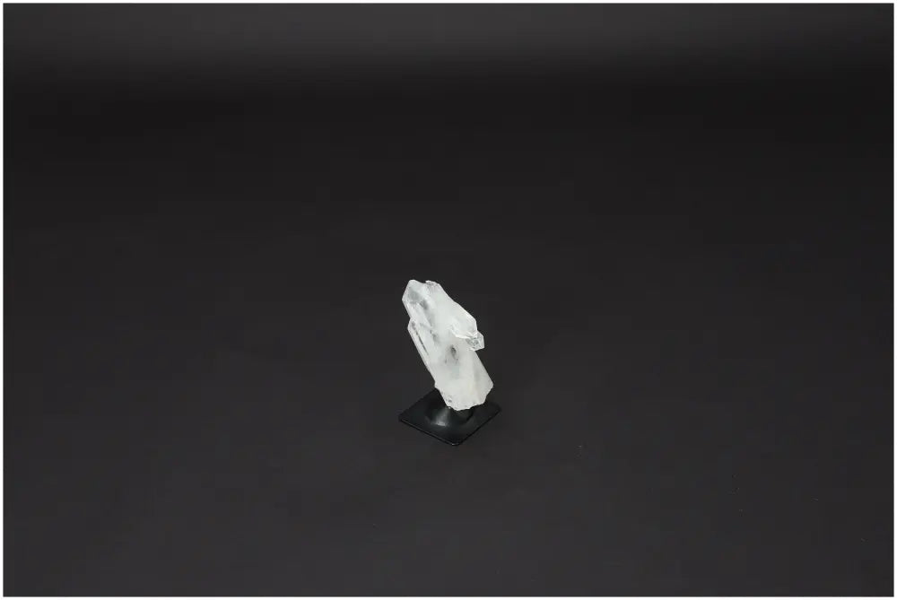 orbitvu|type:image2d