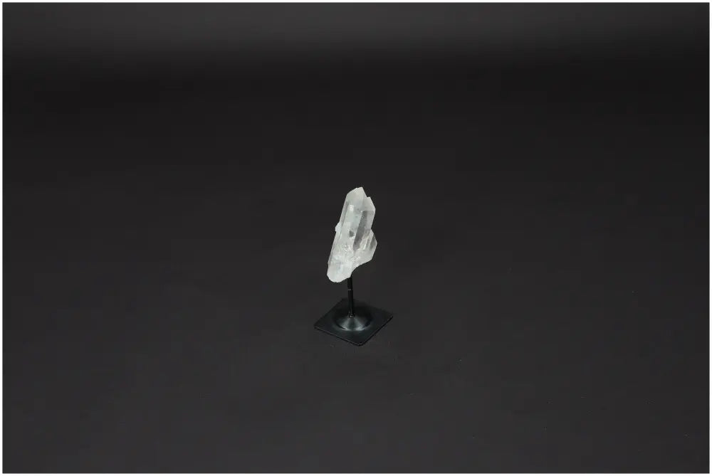 orbitvu|type:image2d