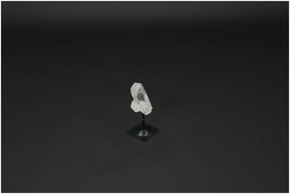 orbitvu|type:image2d