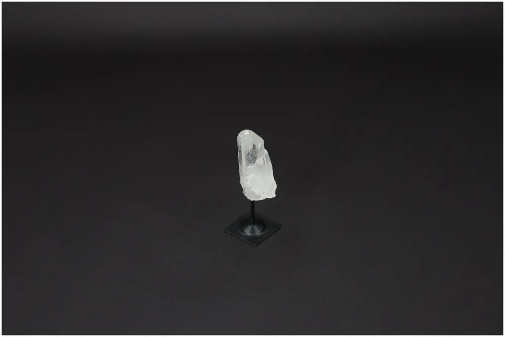 orbitvu|type:image2d