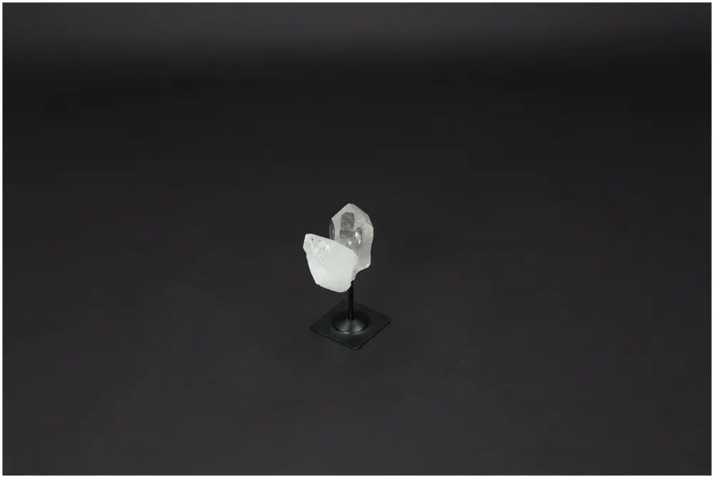 orbitvu|type:image2d