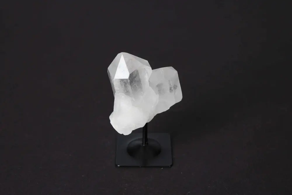 orbitvu|type:image2d