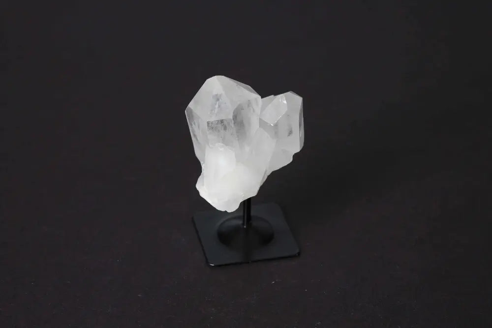 orbitvu|type:image2d