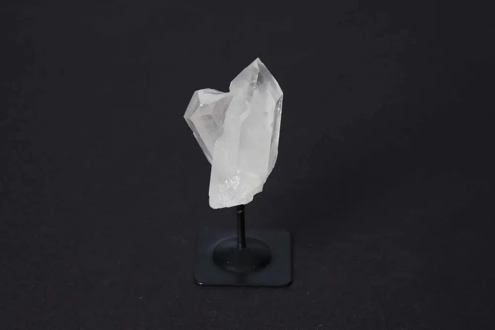 orbitvu|type:image2d