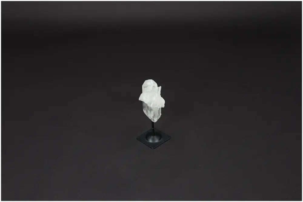 orbitvu|type:image2d
