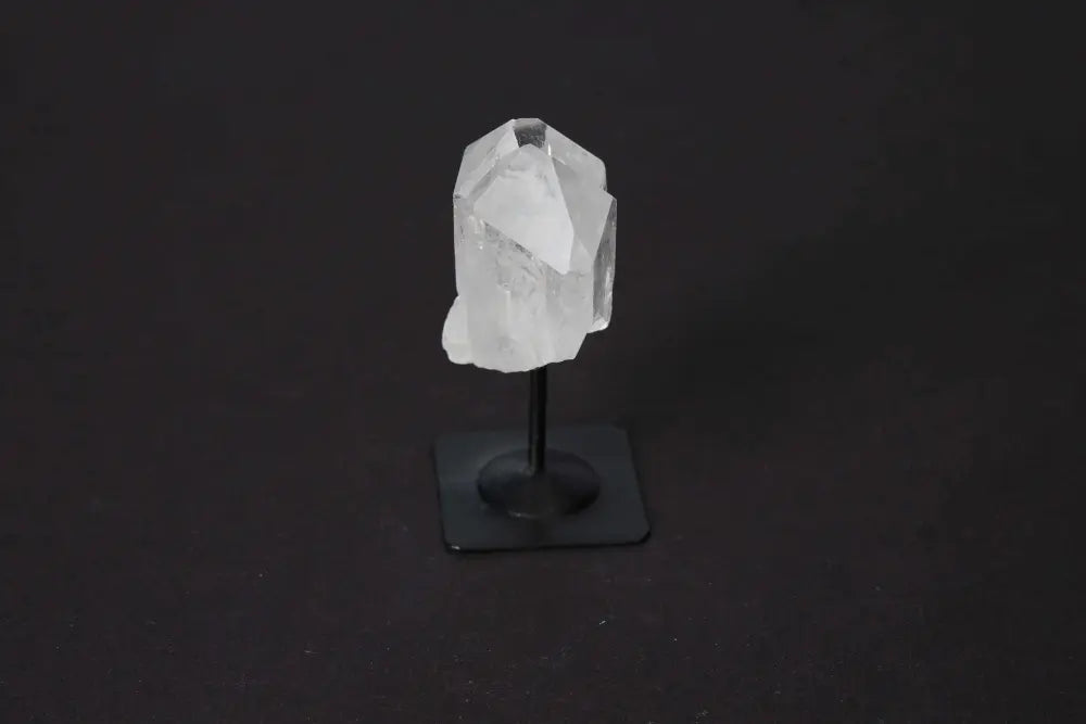 orbitvu|type:image2d