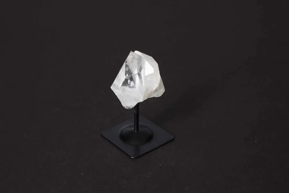 orbitvu|type:image2d