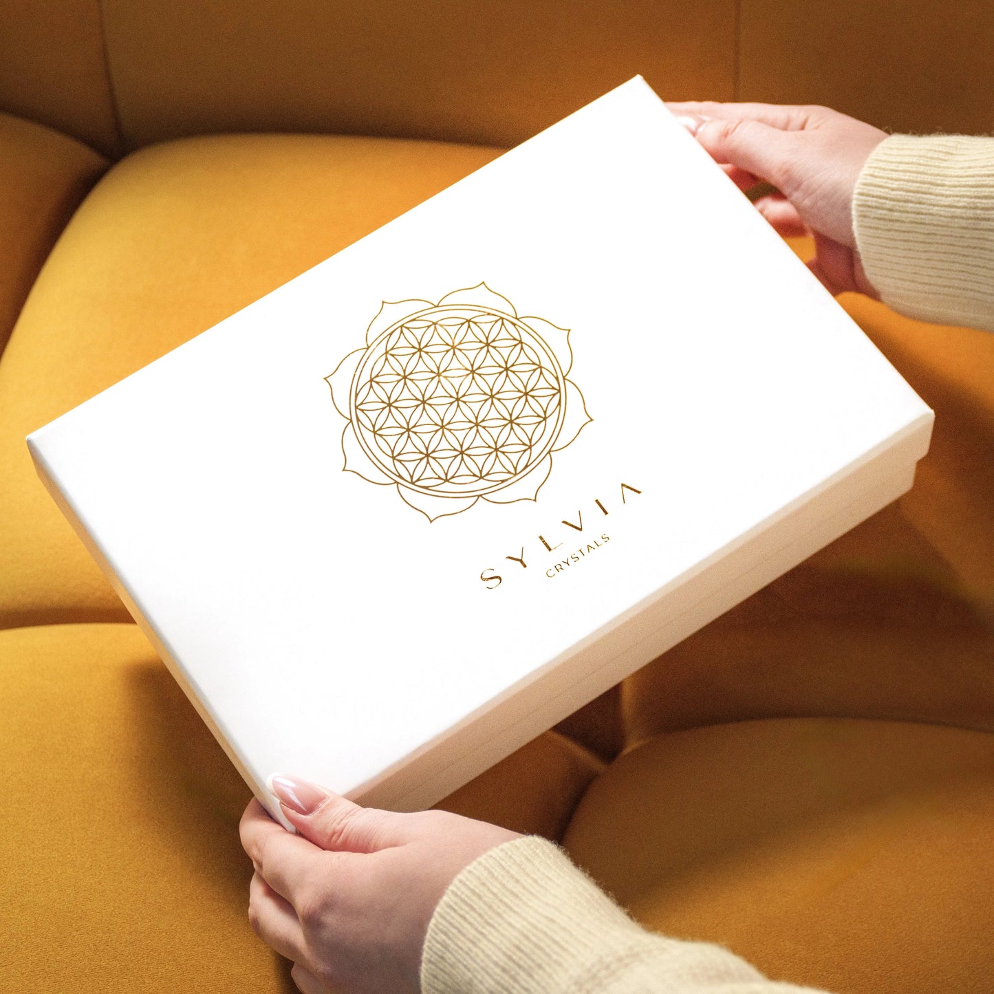 Person holding a Sylvia Crystals Love and Wealth Gift Box on a yellow couch.