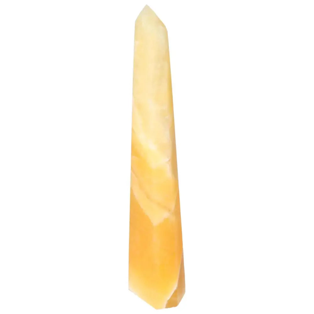 orbitvu|type:image2d