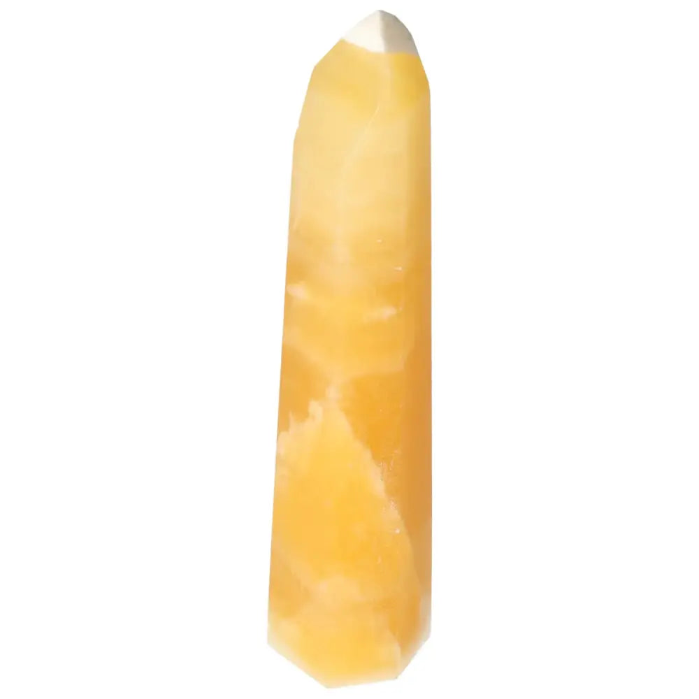 orbitvu|type:image2d