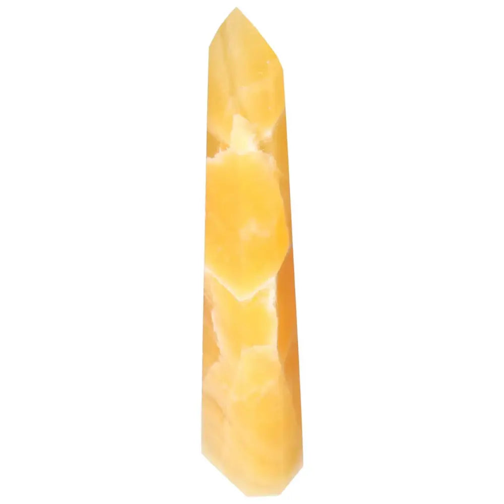 orbitvu|type:image2d
