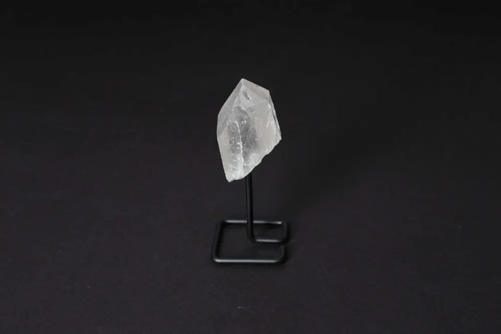 orbitvu|type:image2d