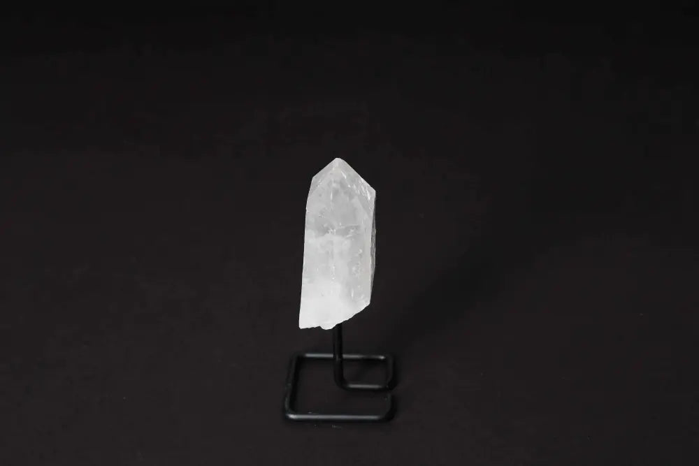 orbitvu|type:image2d