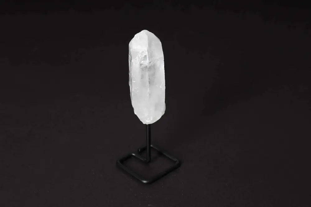 orbitvu|type:image2d