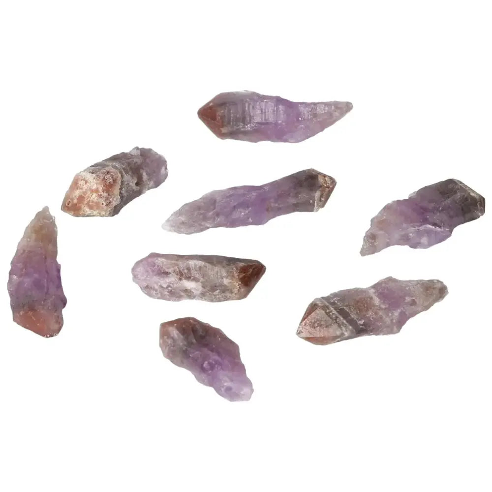 orbitvu|type:image2d