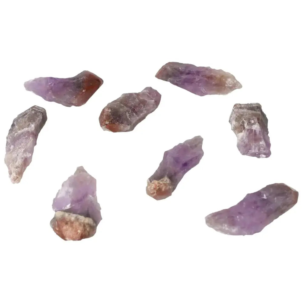 orbitvu|type:image2d