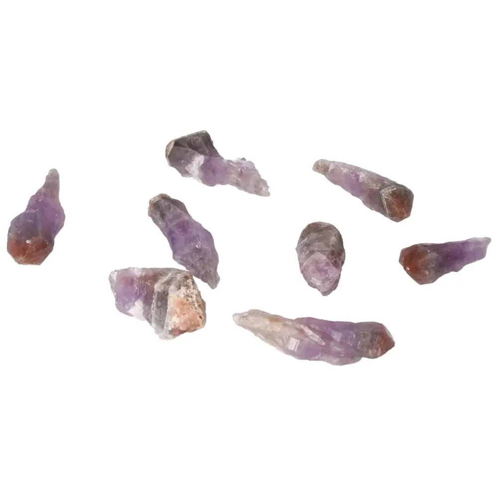 orbitvu|type:image2d