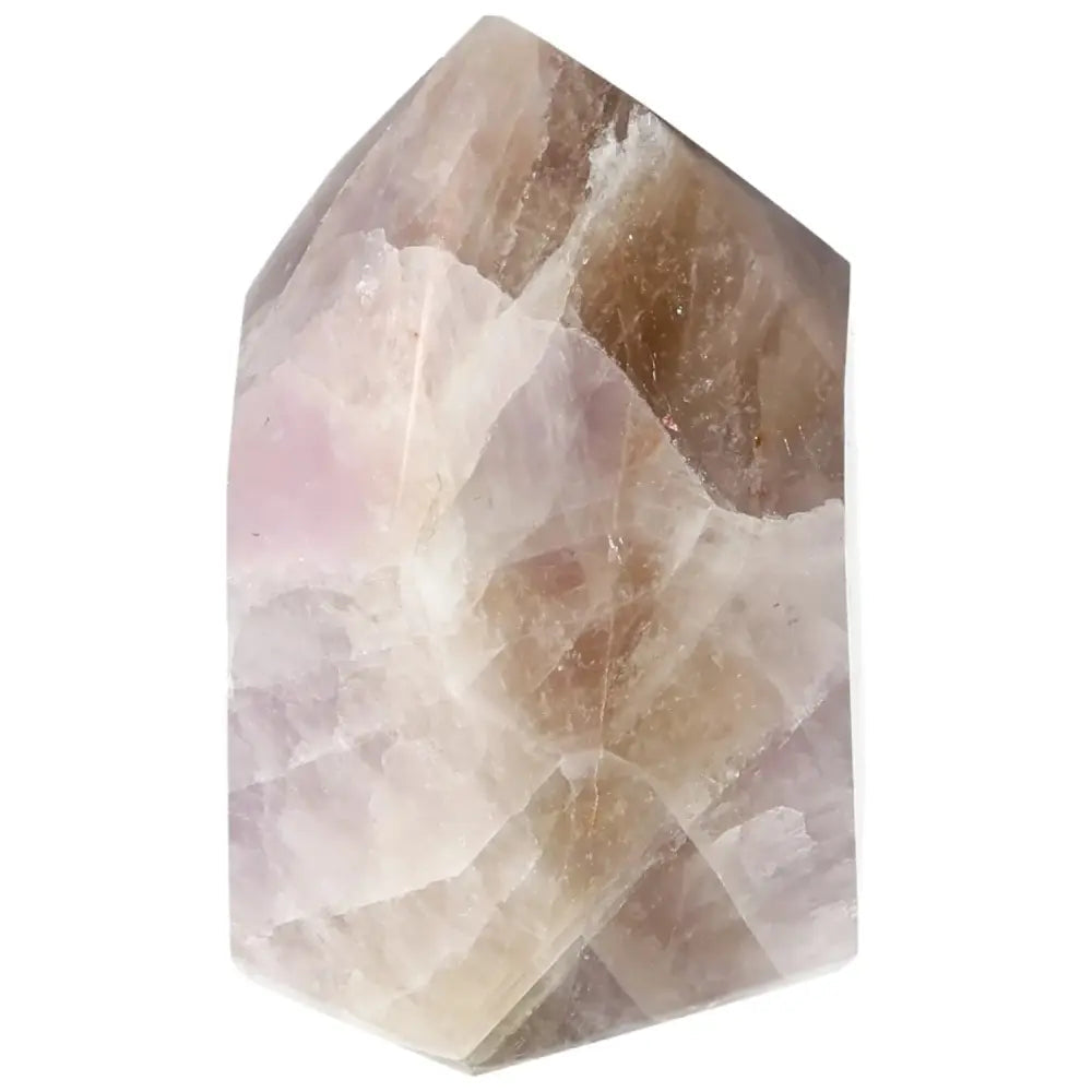 orbitvu|type:image2d