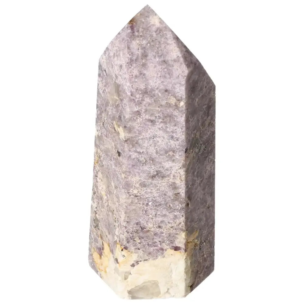 orbitvu|type:image2d