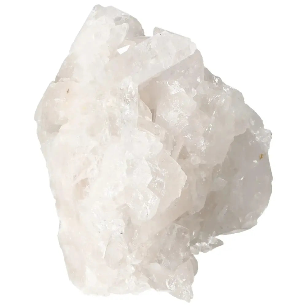 orbitvu|type:image2d