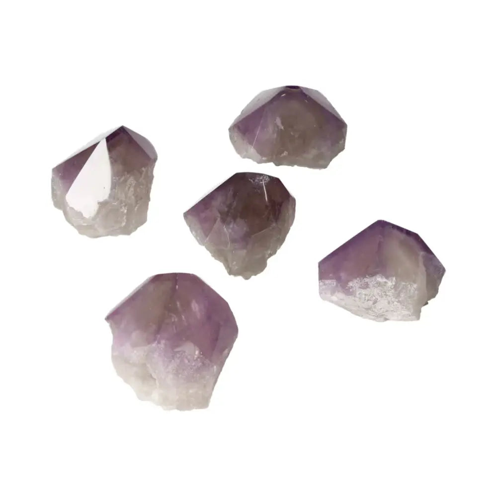 orbitvu|type:ORBITVU 360|https://orbitvu.co/share/jhpn6xFnRxUoDKn8w7MNth/6526179/360/iframe