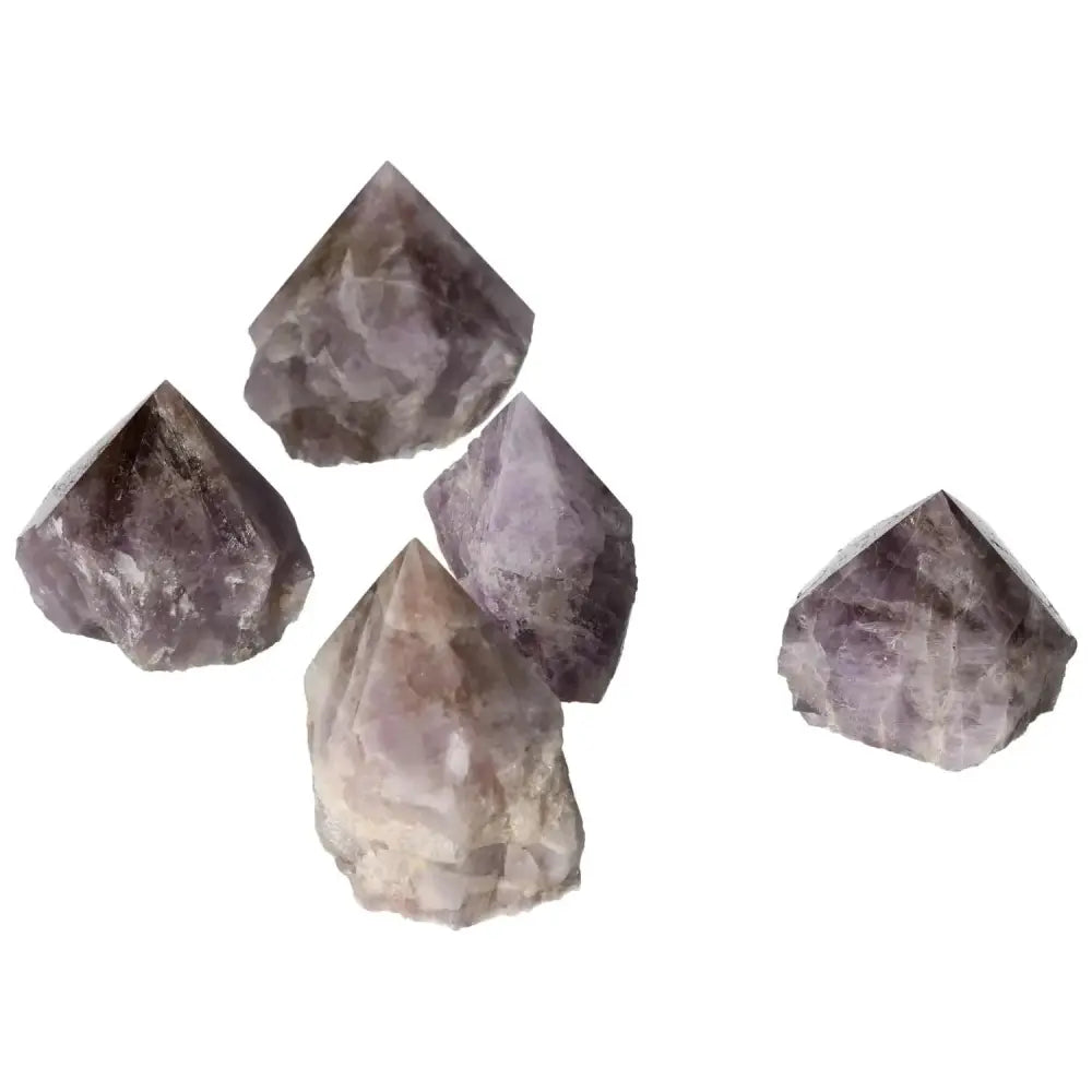 orbitvu|type:image2d
