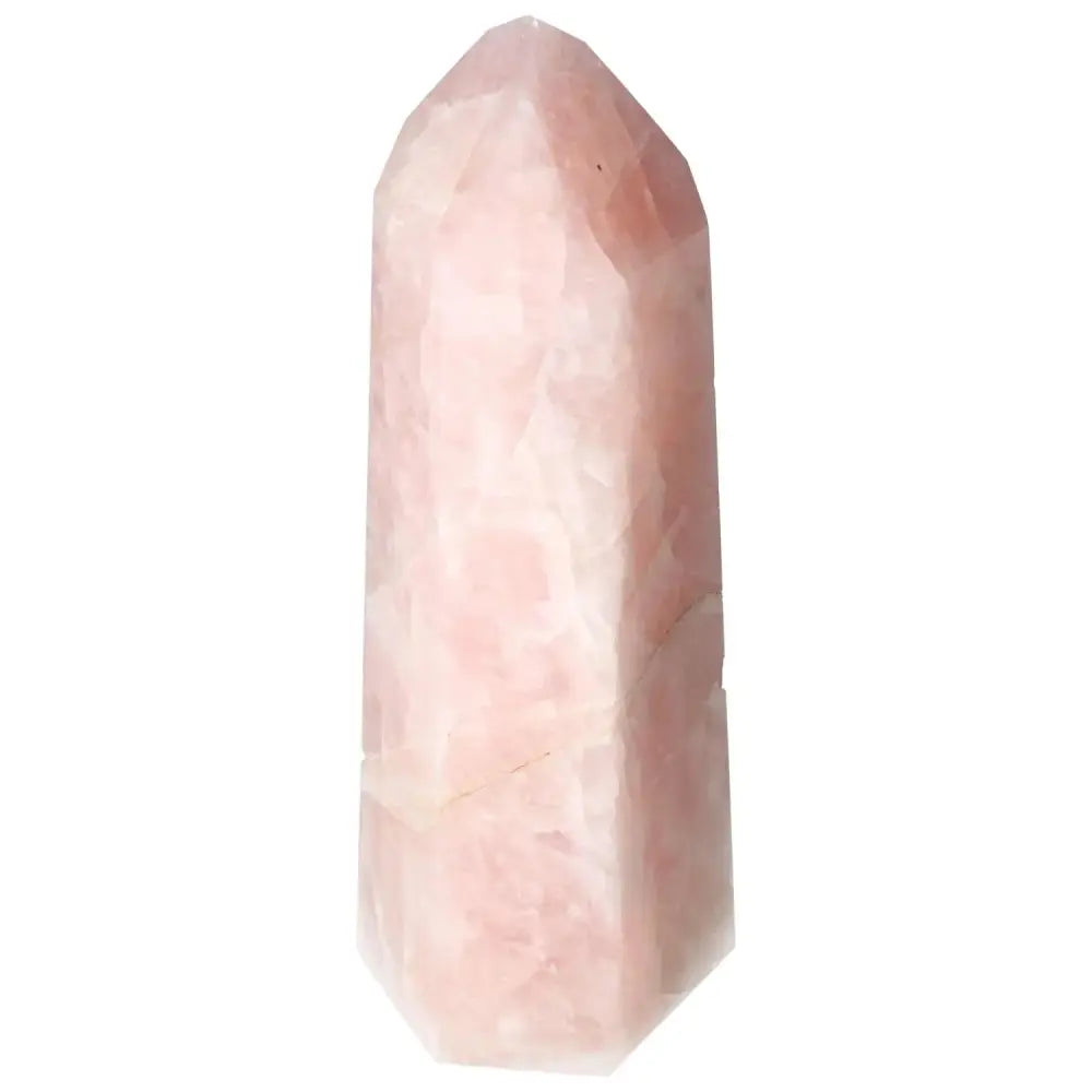 orbitvu|type:image2d