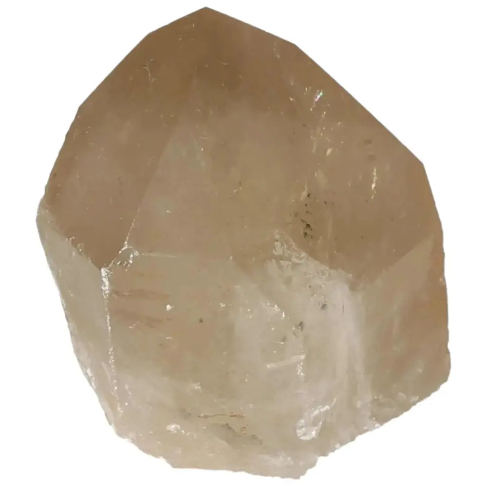 Polished Smoky Quartz Point crystal by Sylvia Crystals, offering grounding energy and protective healing properties.