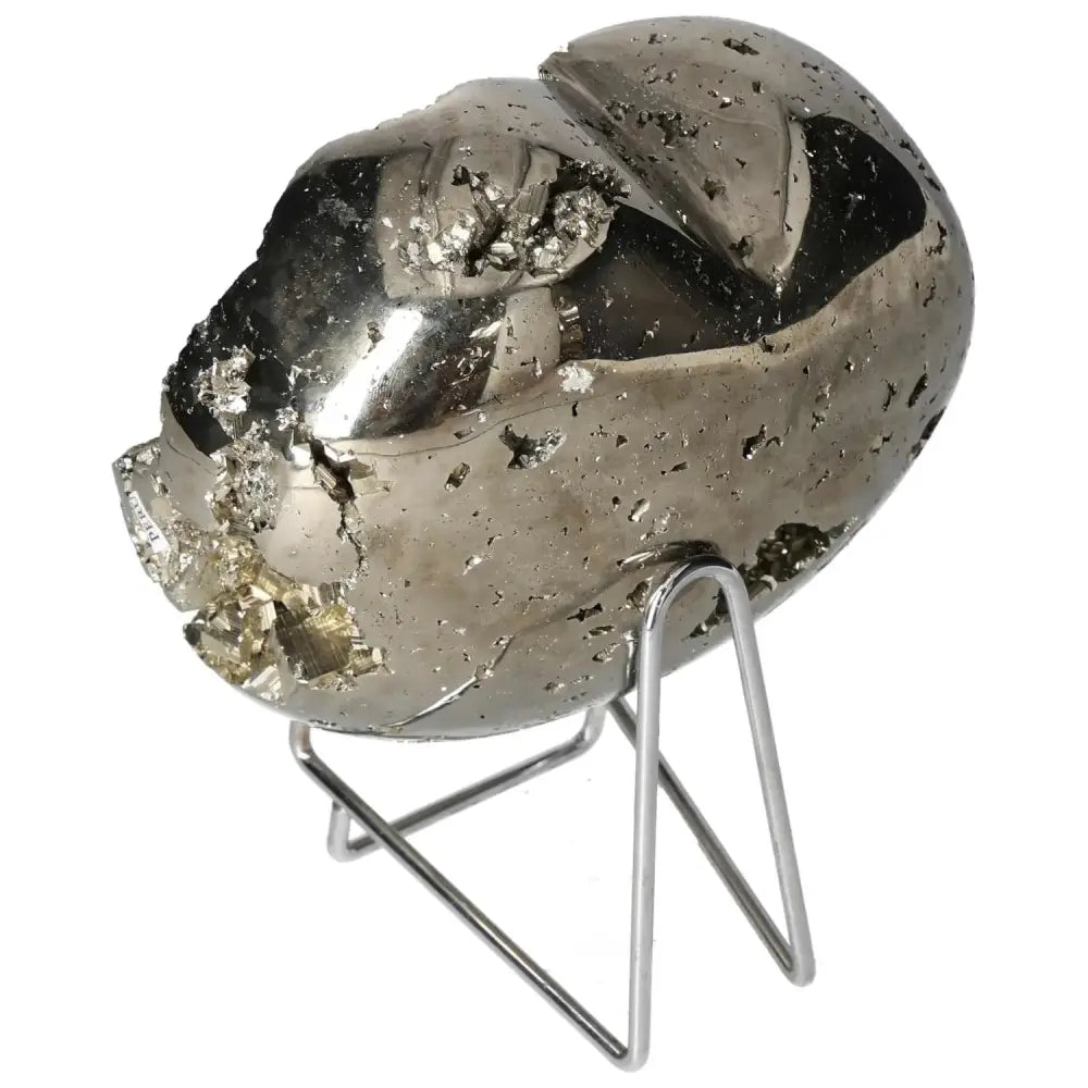 orbitvu|type:image2d