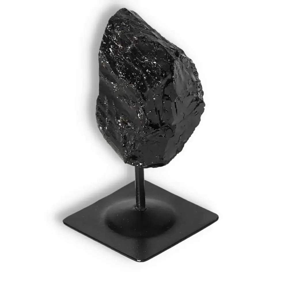 orbitvu|type:image2d