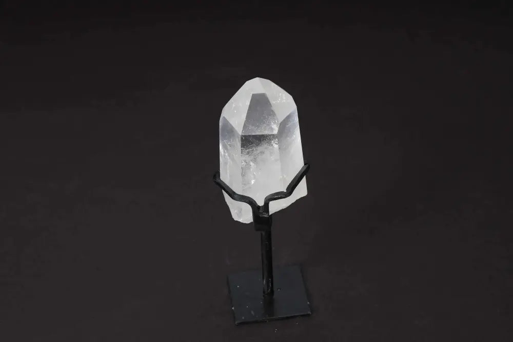 orbitvu|type:image2d